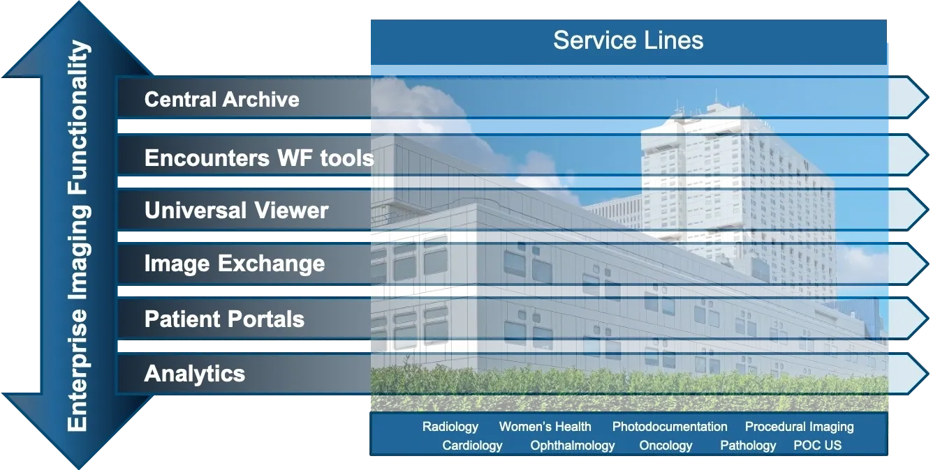 A screen shot of the service lines section.